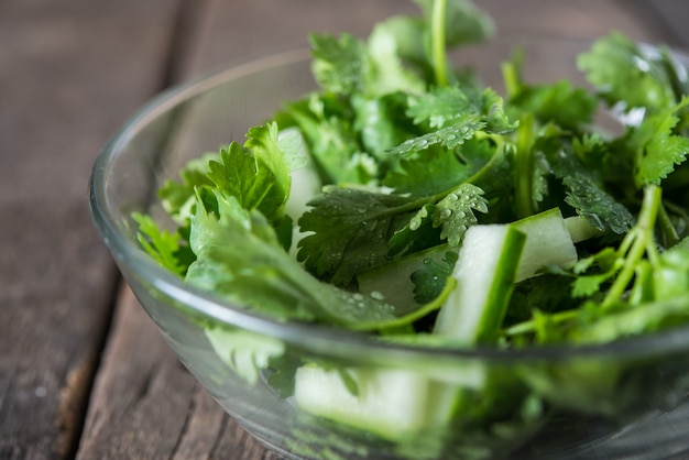 Frischer Koriandersalat, Koriander mit Gurkensalat. Gesundes Essen Konzept.