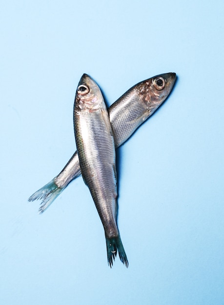 frischer leckerer Fisch auf Blau