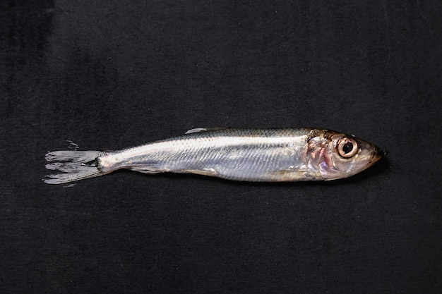 Frischer leckerer fisch auf schwarz