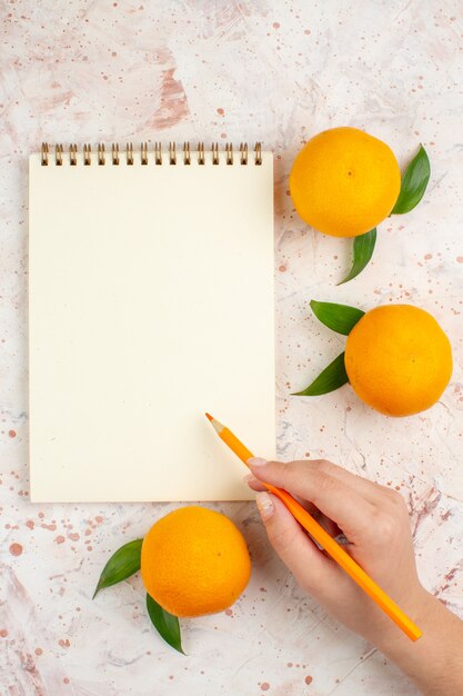 Frischer Mandarinen-Notizblockstift der Draufsicht in weiblicher Hand auf heller isolierter Oberfläche