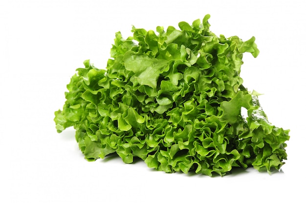 frischer Salat isoliert