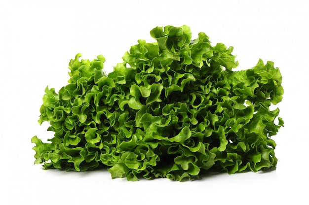 frischer Salat isoliert