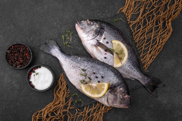 Frischer Seebrassenfisch und Fischnetz