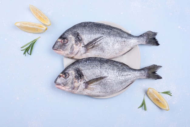 Frischer ungekochter Fisch mit Meeresfrüchten und Zitronenscheiben