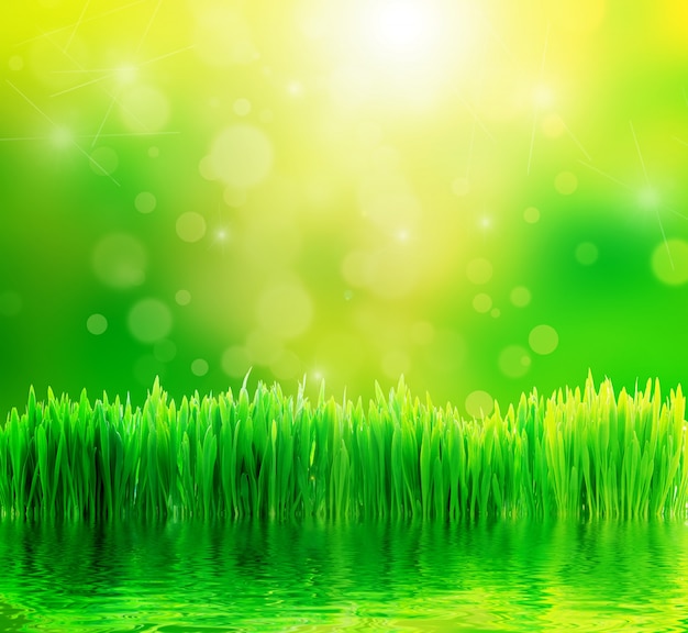 Kostenloses Foto frisches gras mit bokeh-effekt