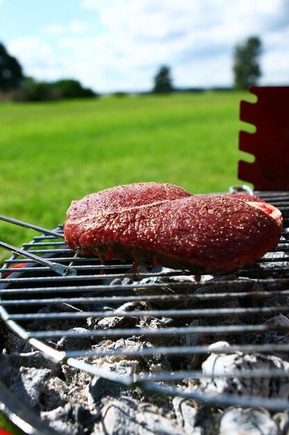 Frisches und sehr leckeres Steak