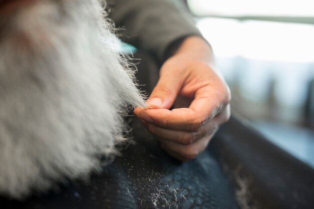 Friseur, der Strang des Kunden des grauen Haares hält