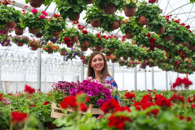 Fröhliche weibliche Floristin, die Kiste mit Blumen im Gewächshaus des Gärtnereigartens trägt