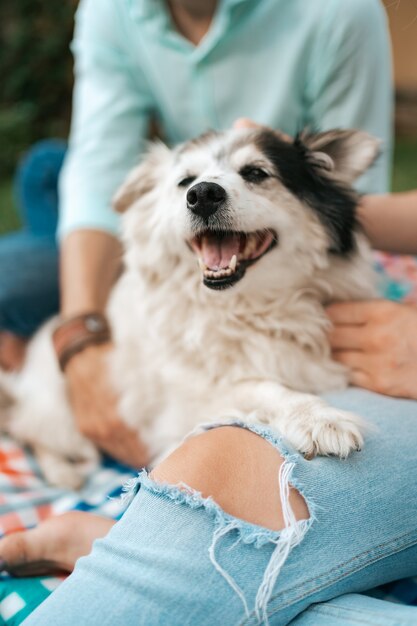 Fröhlicher alter Hund, der lächelt, während er auf dem Schoß seiner liebenden Menschen sitzt. Glückliches Paar von Jungs, die mit ihrem Hund spielen.