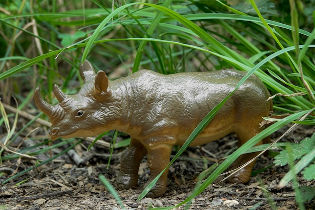 Frontansicht Anordnung für Tiertag