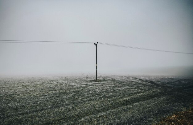 Frostiges Feld mit Strommast an einem nebligen Tag