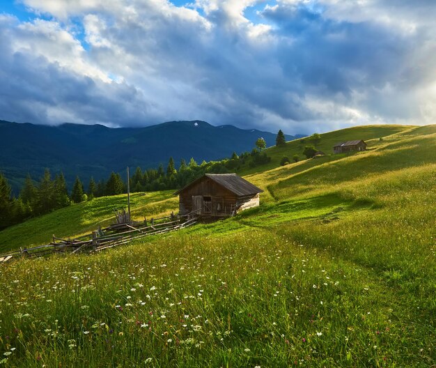 Frühling in den Alpen