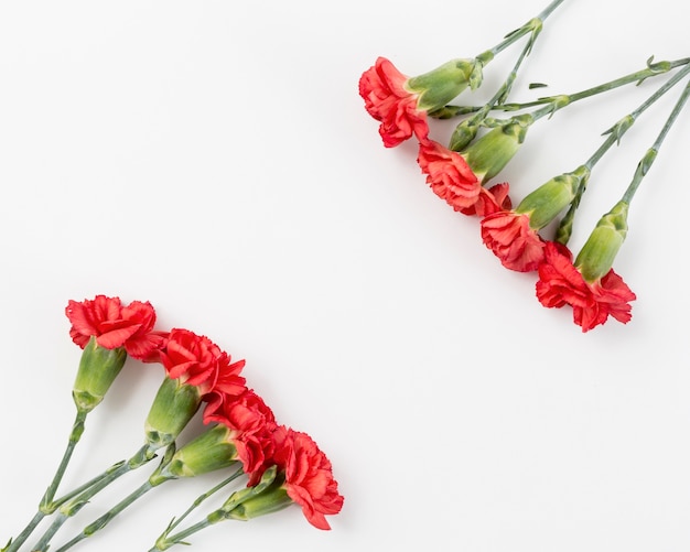 Kostenloses Foto frühlingshintergrund mit rosen