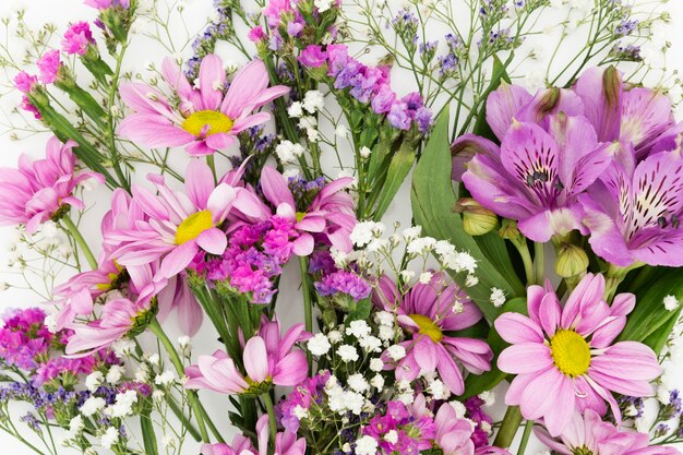 Frühlingskonzept mit schönen Blumen