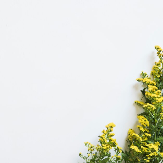 Frühlingskonzept mit Wildflowers auf Recht