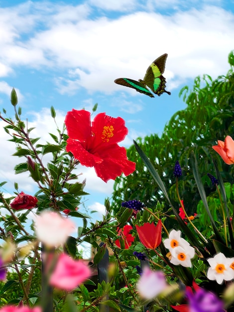 Kostenloses Foto frühlingslandschaft mit blumen und schmetterlingen