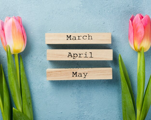 Frühlingsmonate Tags mit Tulpen