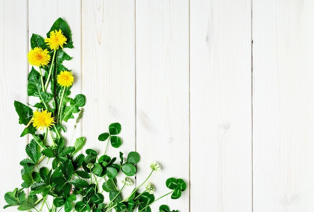 Frühlingswildblumen auf einer weißen Holzoberfläche