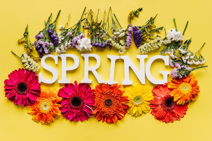 Kostenlose Foto frühlingswort und bunte blumenanordnung