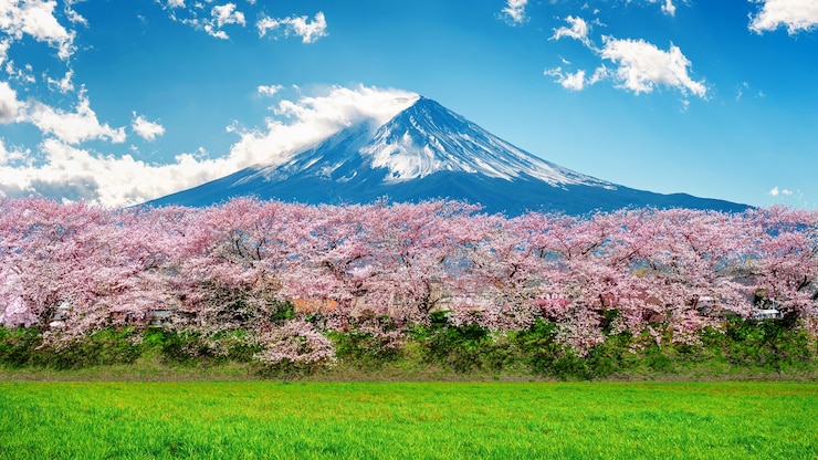 Kostenlose Foto fuji berg und kirschblüte im frühjahr, japan.