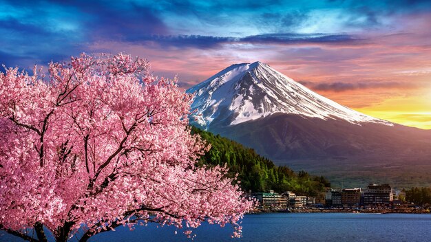 Fuji Berg und Kirschblüten im Frühjahr, Japan.