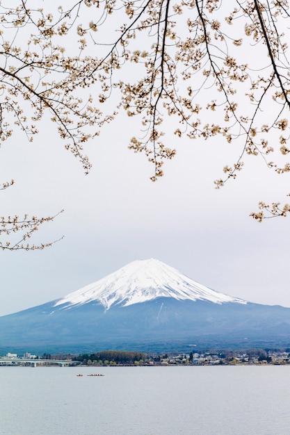 Kostenloses Foto fuji berg und sakura am kawaguchiko see