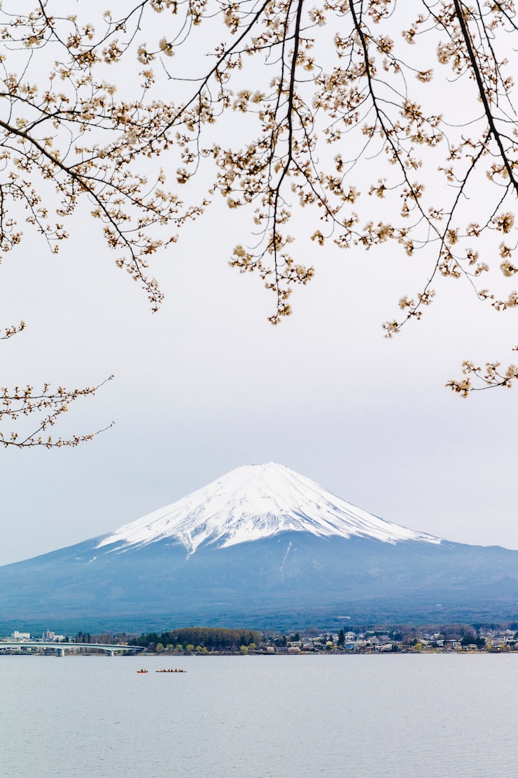 Kostenlose Foto fuji berg und sakura am kawaguchiko see