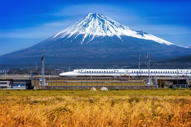Fuji Berge und Zug in Shizuoka, Japan.