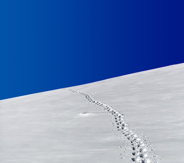 Fußabdrücke im Schneefeld unter blauem Himmel