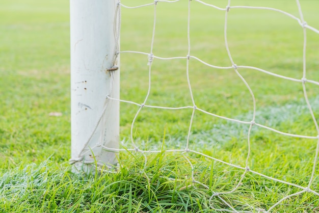 Fußball fußball fußball grün gras feld