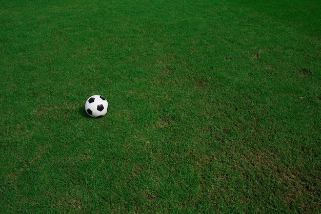 Fußballkugel auf Gras mit Stadionhintergrund