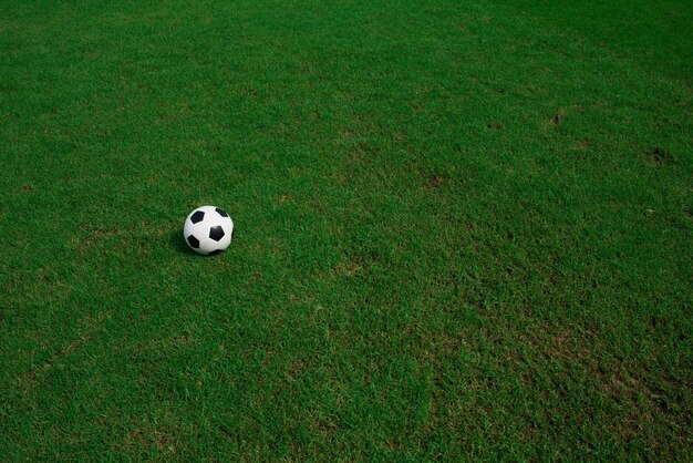 Fußballkugel auf Gras mit Stadionhintergrund