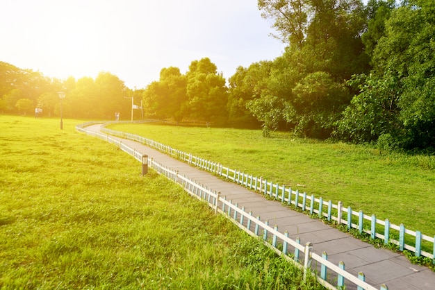 Kostenloses Foto fußweg in der wiese