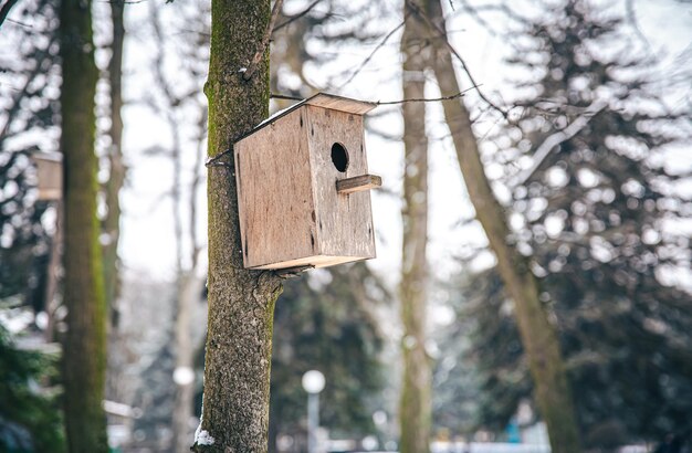 Futterhäuschen aus Holz für Vögel im Wald auf einem Baum