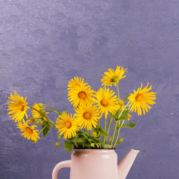 Gänseblümchenblumen in einer Gießkanne