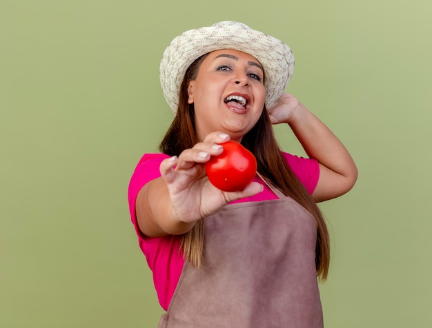 Gärtnerfrau mittleren Alters in der Schürze und im Hut, die frische Tomaten halten, die Kamera betrachten, die mit glücklichem Gesicht über hellem Hintergrund steht