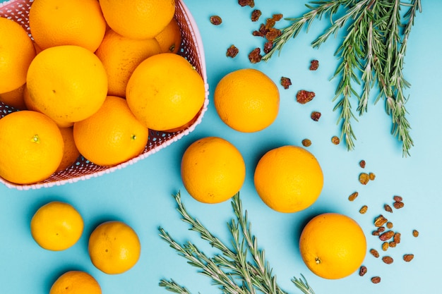 Ganze Orangenfrüchte und -rosmarin auf blauem Hintergrund