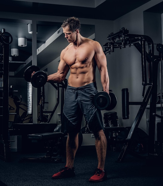 Ganzkörperporträt eines athletischen, hemdlosen Mannes, der Bizeps-Training mit Hanteln in einem Fitnessstudio macht.