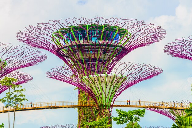 Garten an der bucht in der nachtszene in singapur Kostenlose Foto