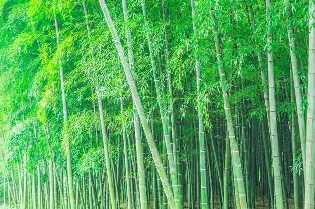 Garten Dekoration Porzellan japanischen Wald