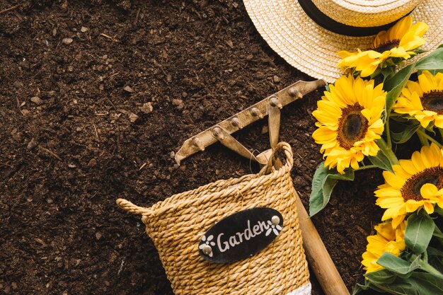 Garten-Konzept mit Platz auf der linken Seite