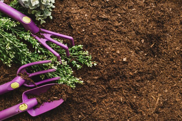 Gartenarbeit Konzept mit Platz auf der rechten Seite auf Boden