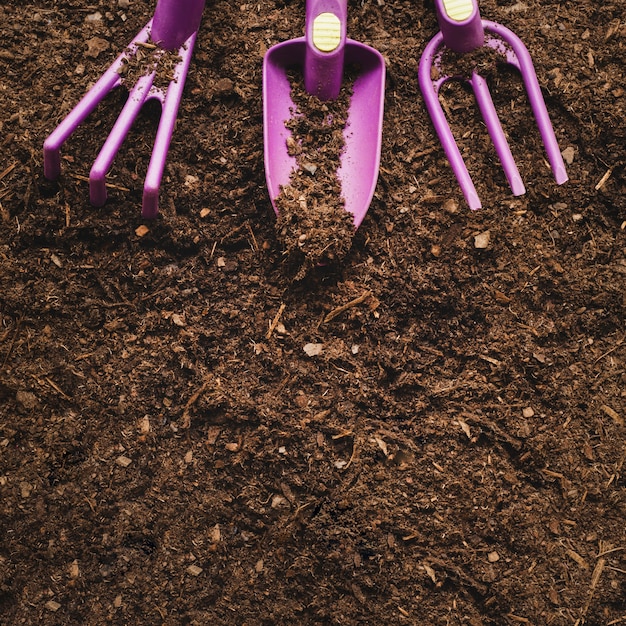 Kostenloses Foto gartenarbeit konzept mit platz auf der unterseite