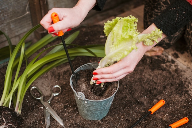 Gartenarbeit