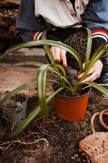 Gartenarbeit