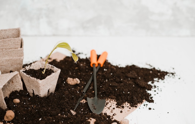 Gartenarbeit