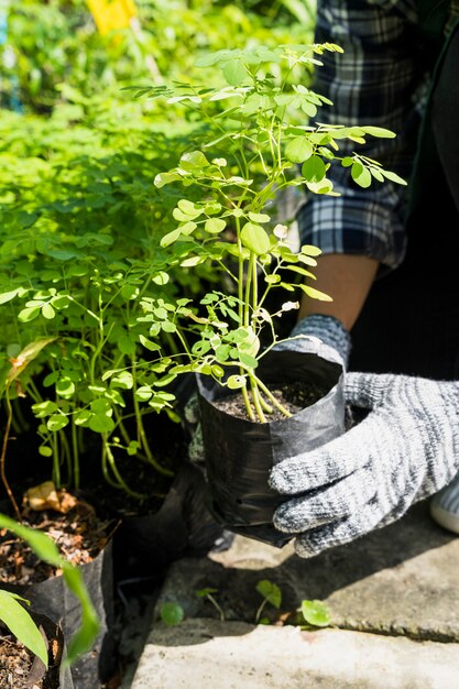 Gartenarbeit