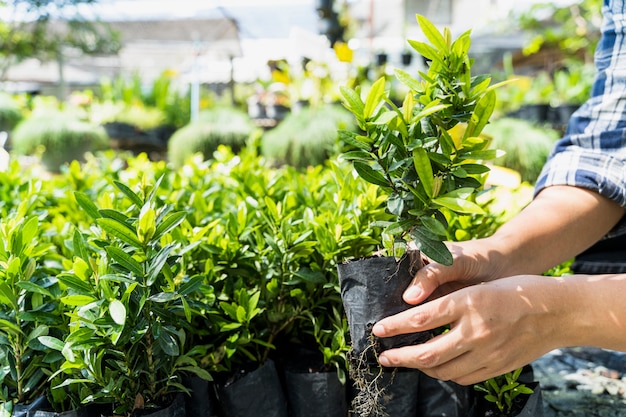 Gartenarbeit