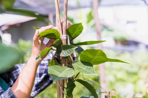 Gartenarbeit