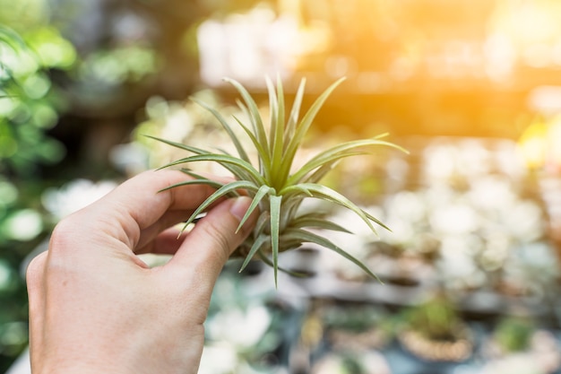 Kostenloses Foto gartenarbeit